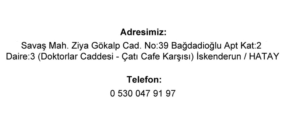 Resim1